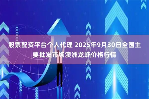 股票配资平台个人代理 2025年9月30日全国主要批发市场澳洲龙虾价格行情